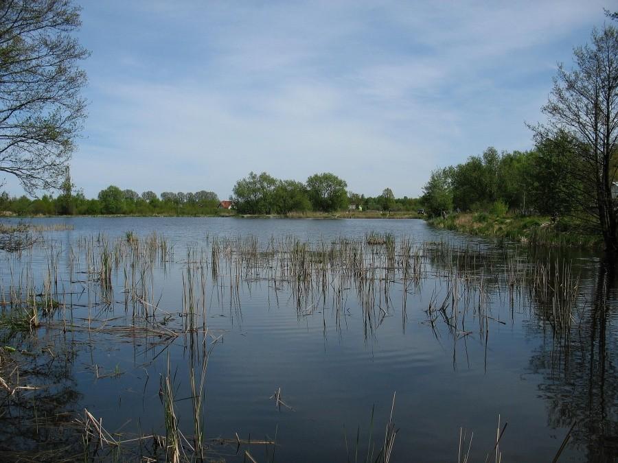 Stawy Gołkowskie
