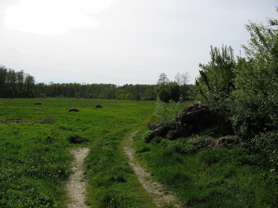 Łąki nad Jeziorką