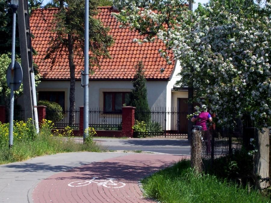 Basia na przejściu. Dworska.
