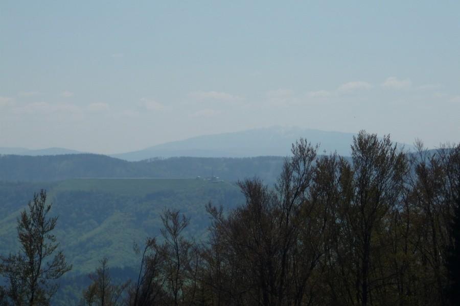 Widok na ośnieżona Babią Górę