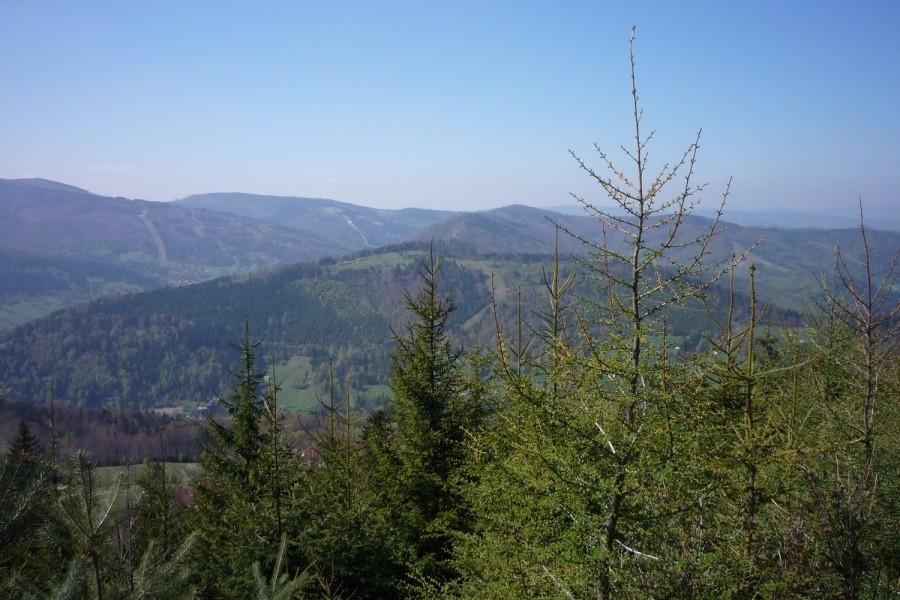 Widok spod szczytu Klimczoka