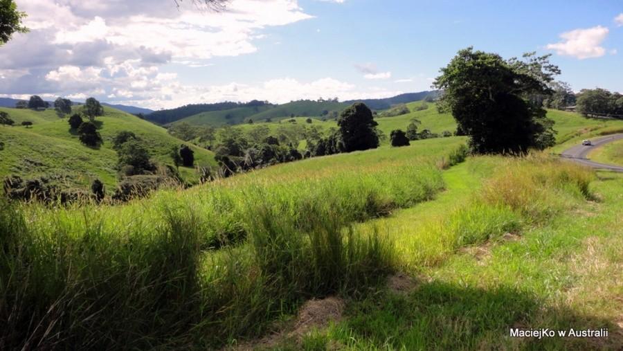 Sunshine Coast Hinterland