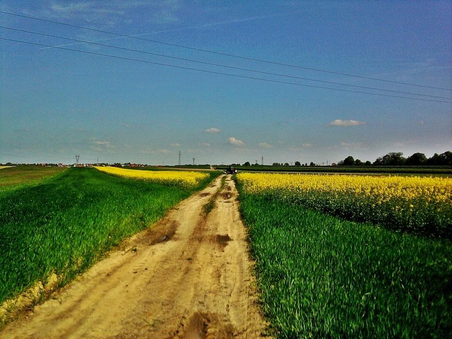 W drodze na Starą Wieś