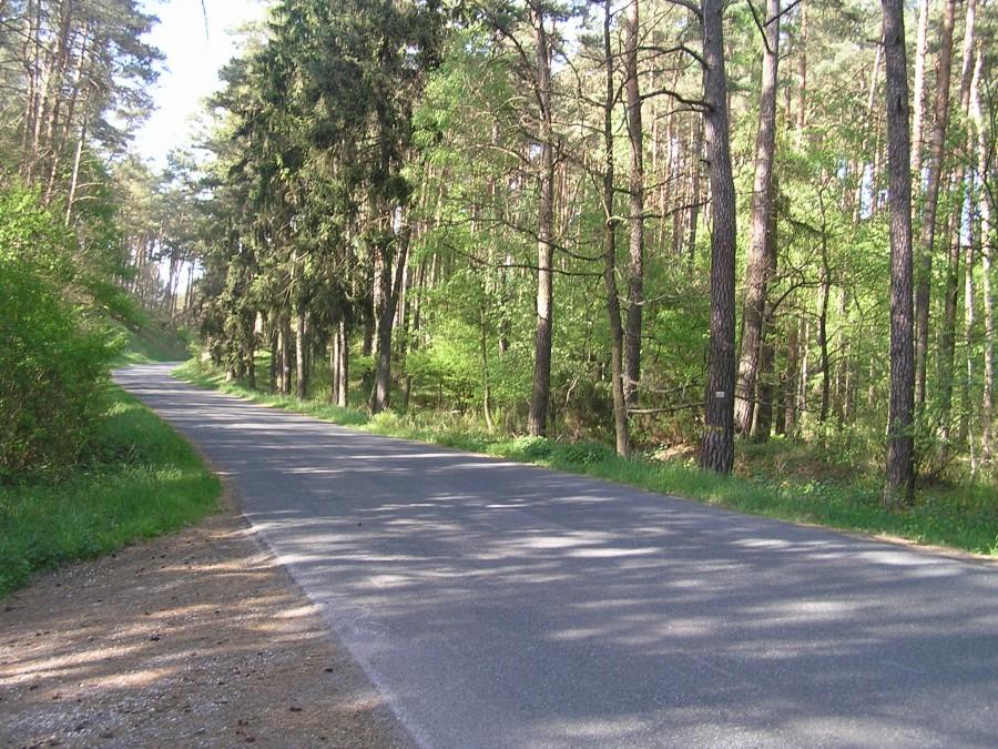 Urokliwa trasa do wsi Chrośna