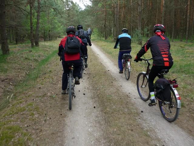 Droga w leśna za Trzcińcem w kierunku 25-tki - pozostałości po linii kolejowej
