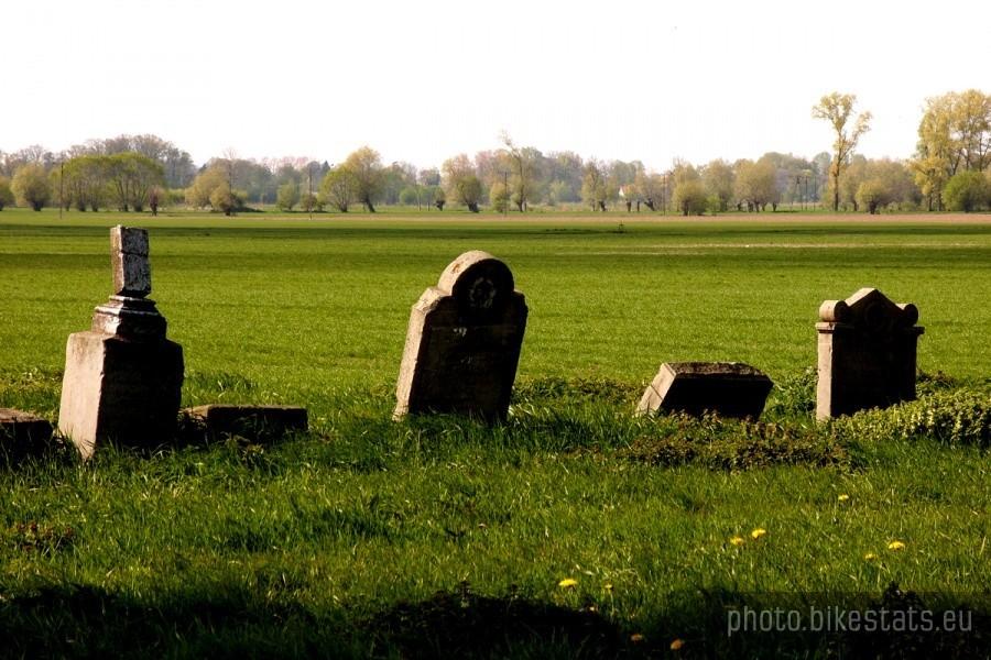 Cmentarz mennonicki w Niedźwiedzicy