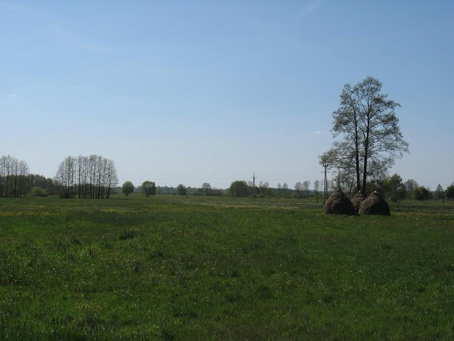 Podbiel