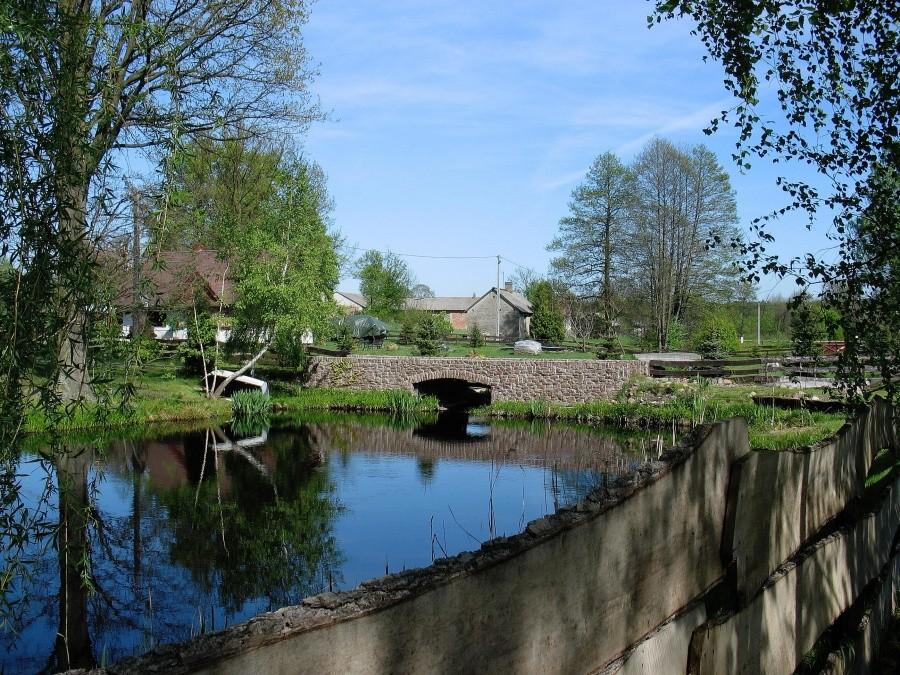 Staw na Ślepocie