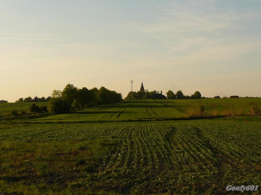 Kościół w Wieszowie