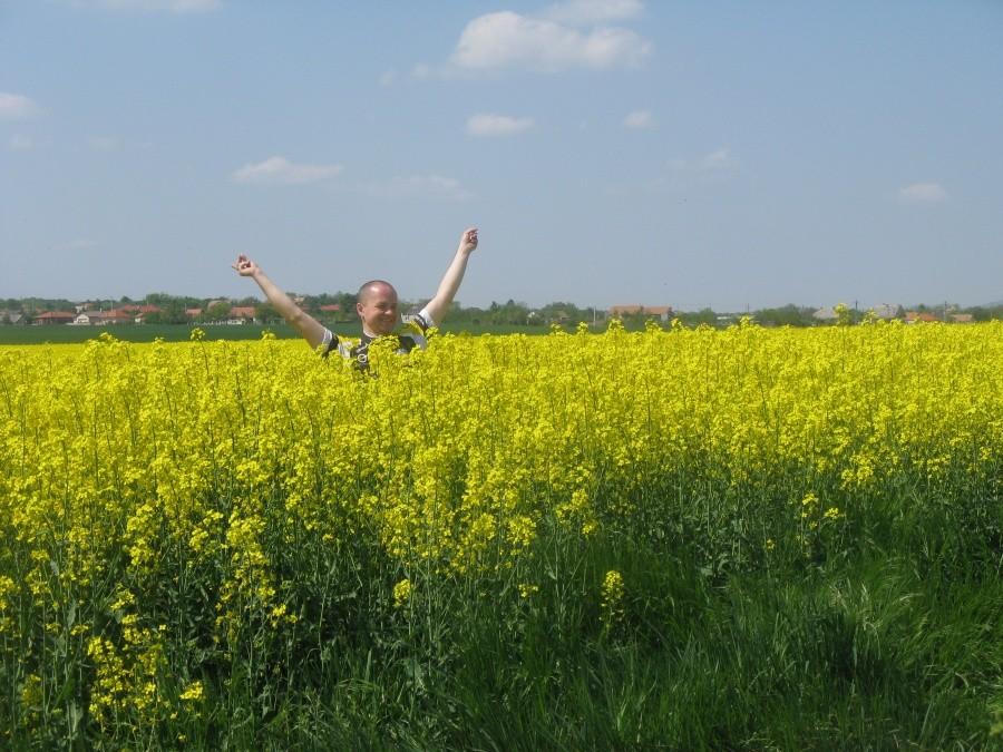 Buszujący w rzepaku ;-)