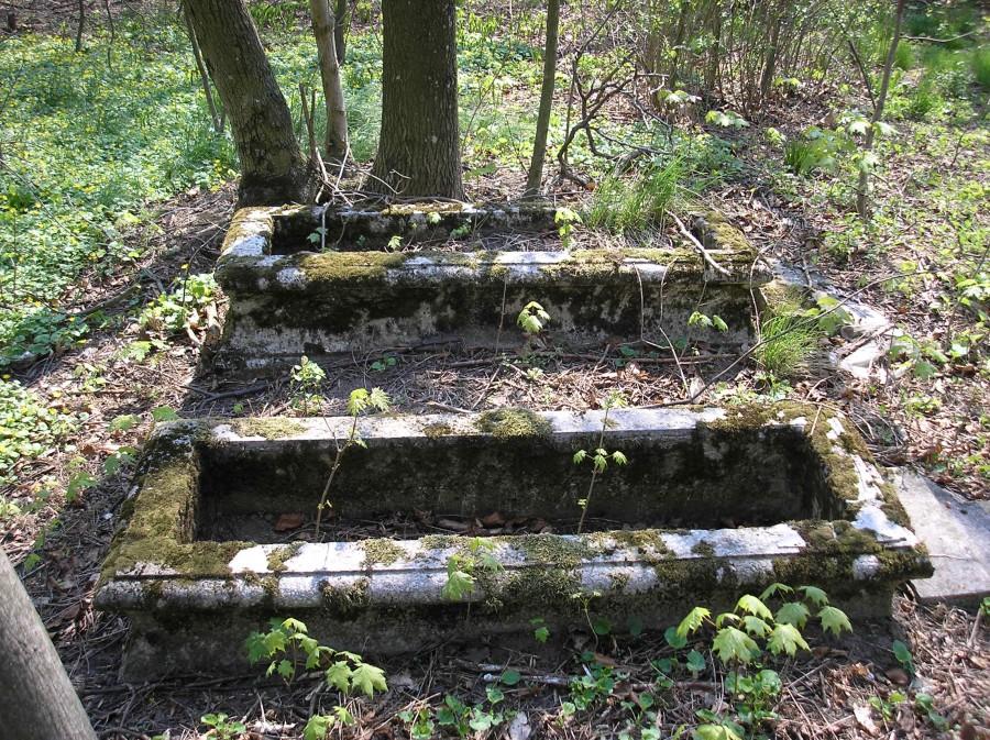 Zapomniany cmentarz ewangelicki w Bytkowicach [2]