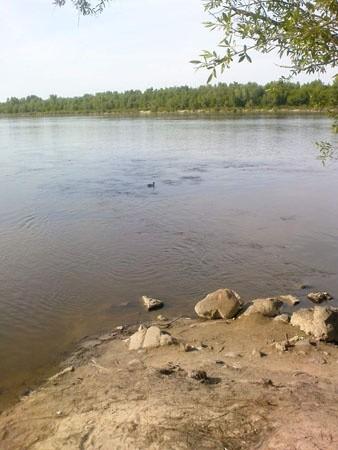 wisła