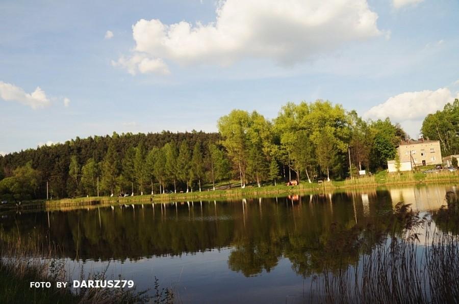 Sławków - Niwki (staw)