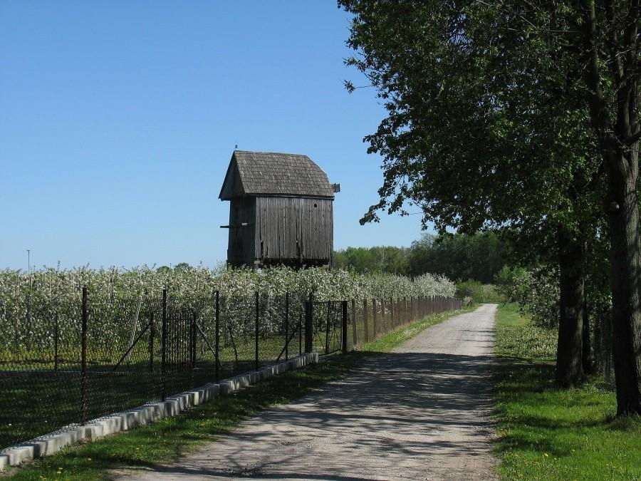 Linin - koźlak