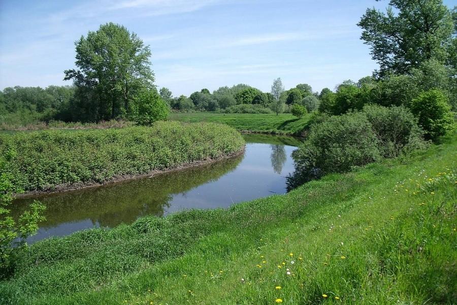 Zakola Wisły