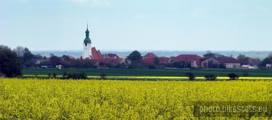 Kwielice od strony Kurowa