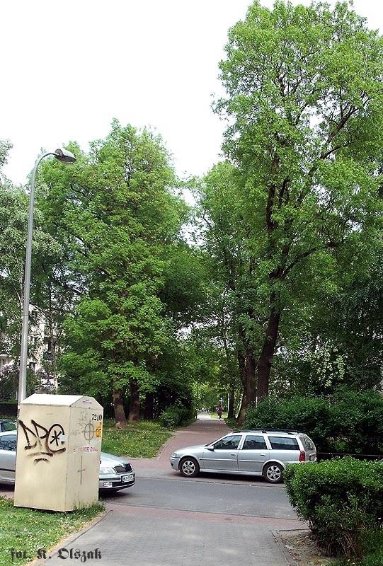 Tu była ulica