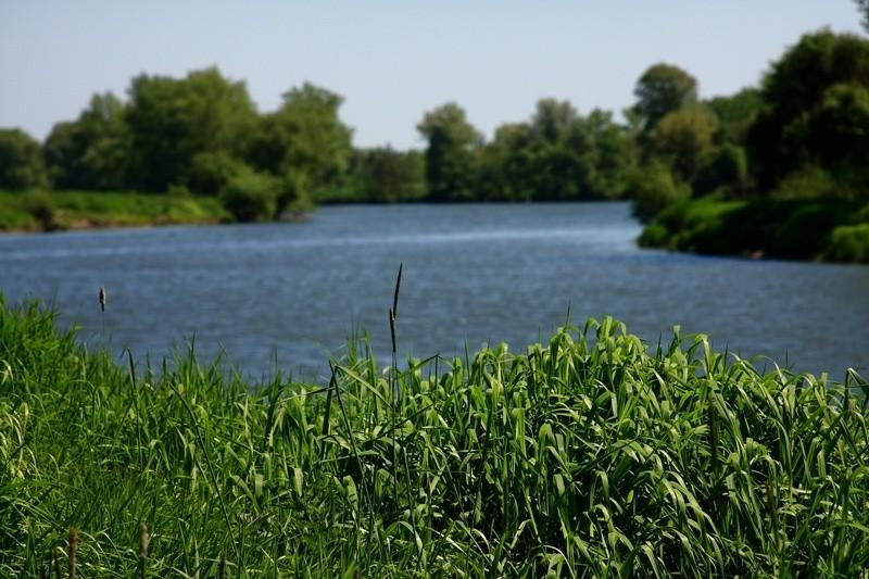 Z biegiem Wisły.