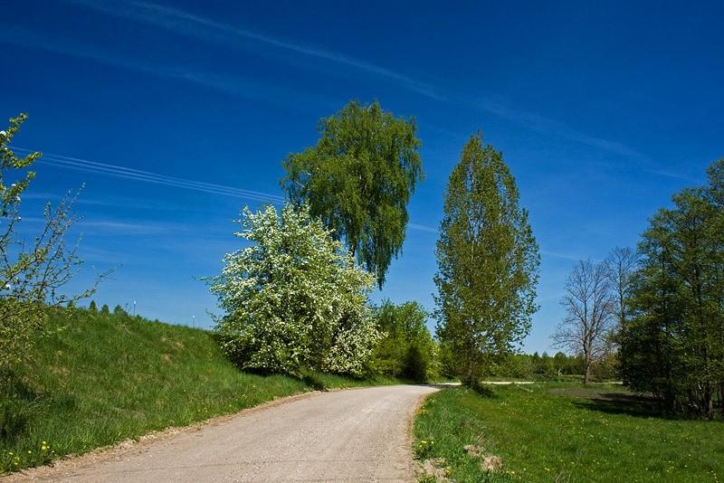 Sztrowa droga
