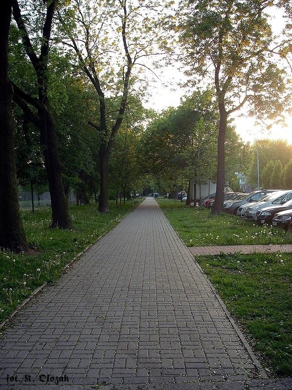 Na księcia Trojdena