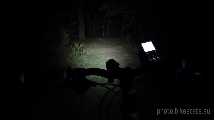Godzina 23:23 - zaczyna się las, zaczyna się zabawa