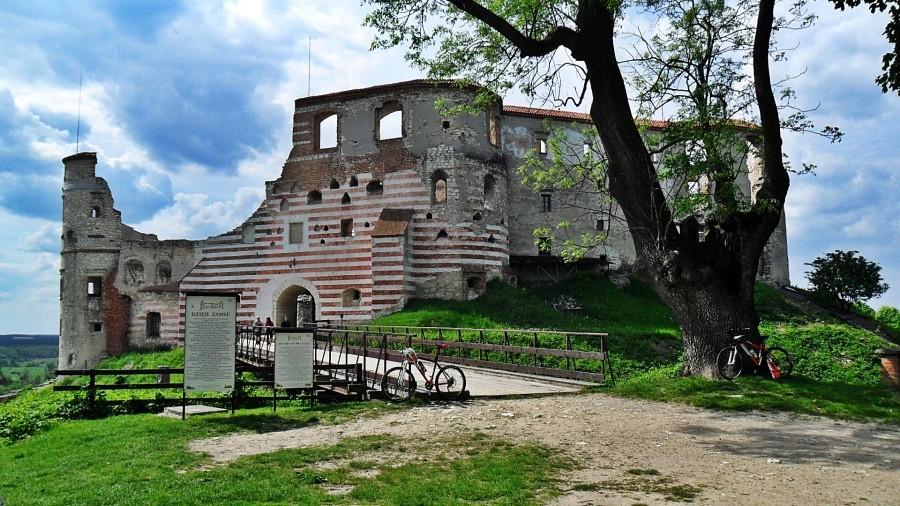 Zamek w Janowcu
