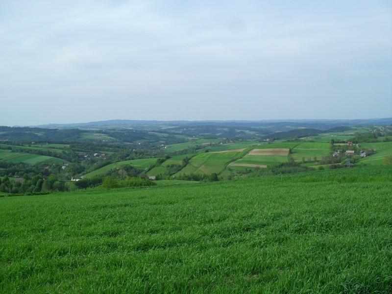 Pogórze Ciężkowickie