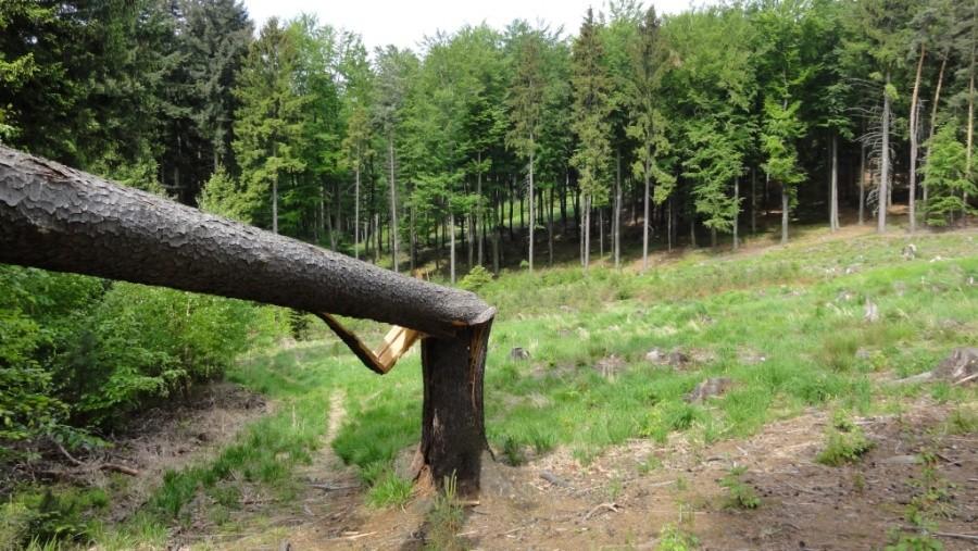Wzgórza oleszańskie