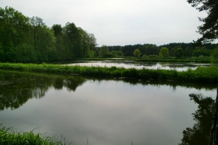 Księże stawy