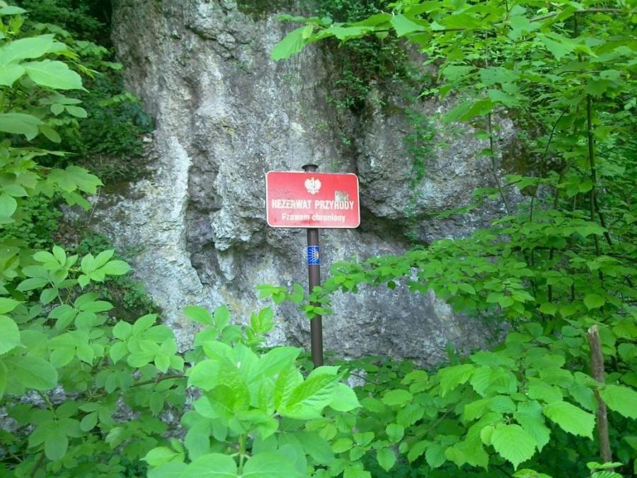 Rezerwat