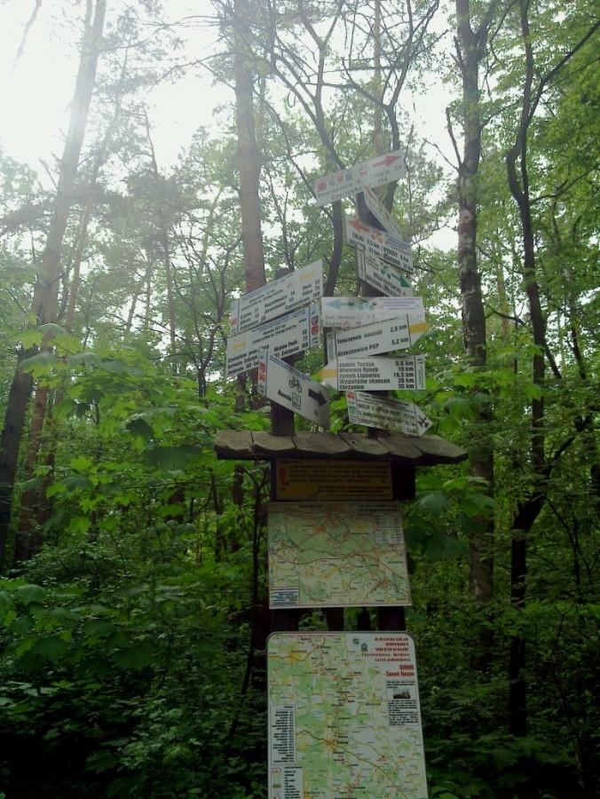 Szlaki