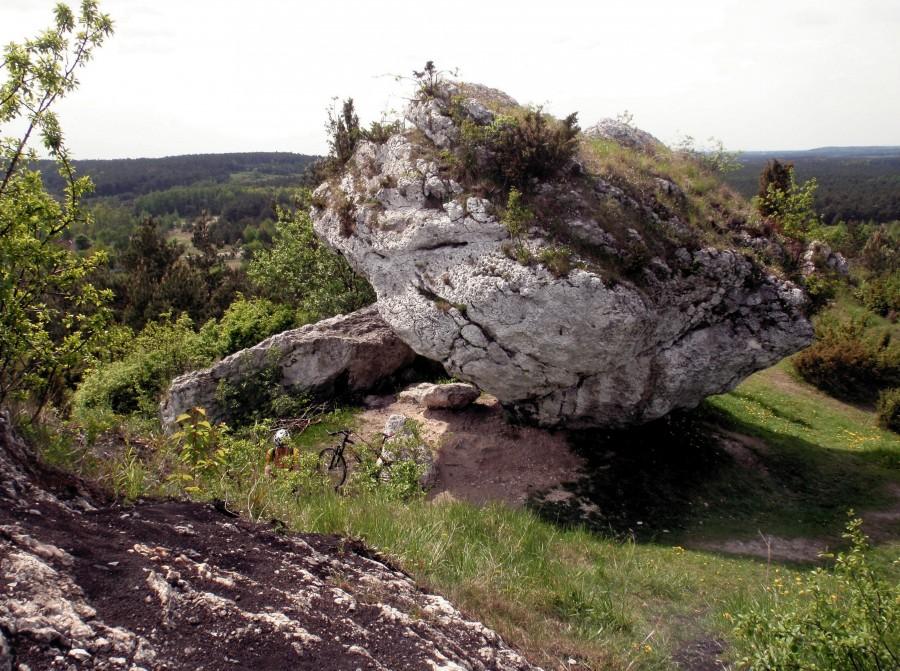 Wśród Skał Rzędkowickich