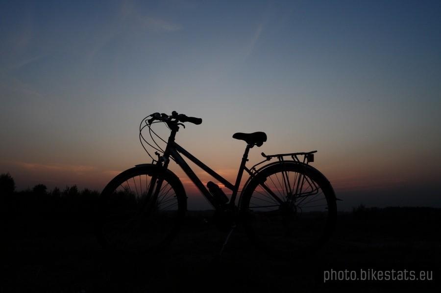 Nocny marek