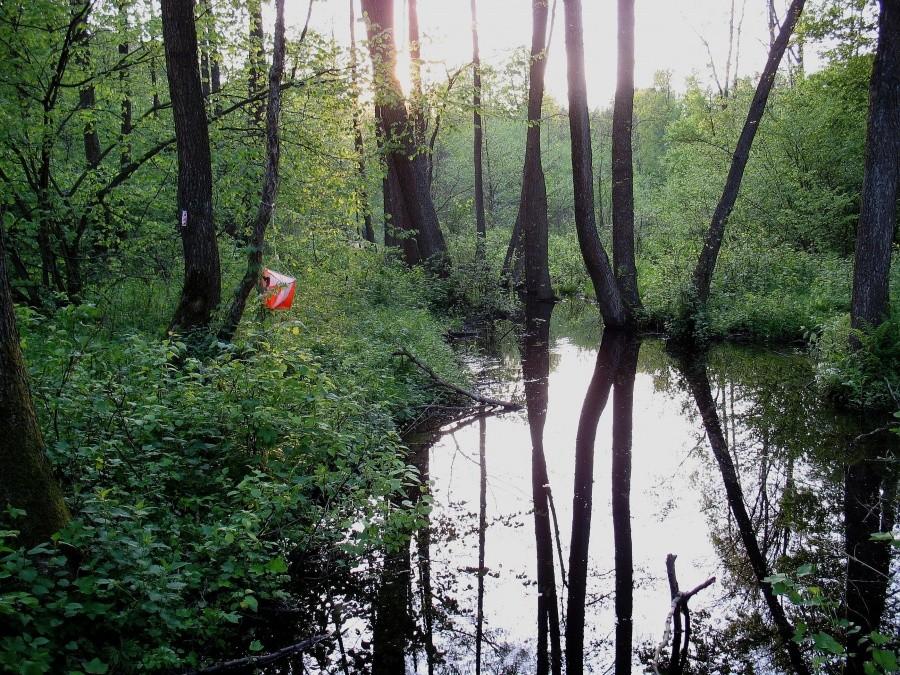 DyMnO 2011, Sadowne, PK 17
