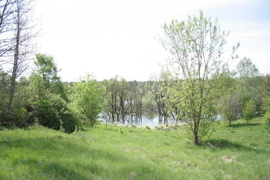 Mokradła