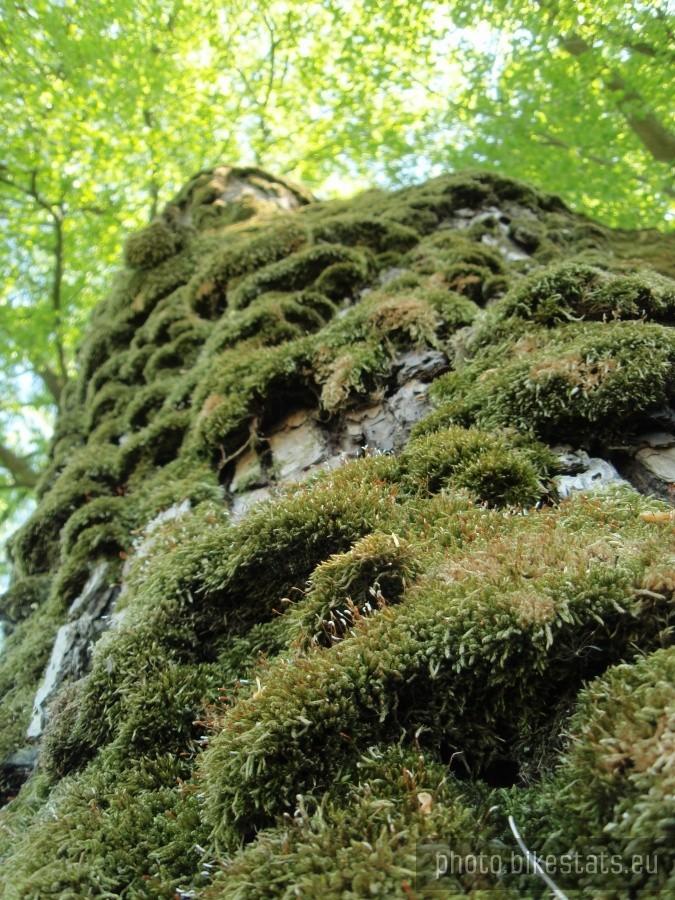 Takie tam :)