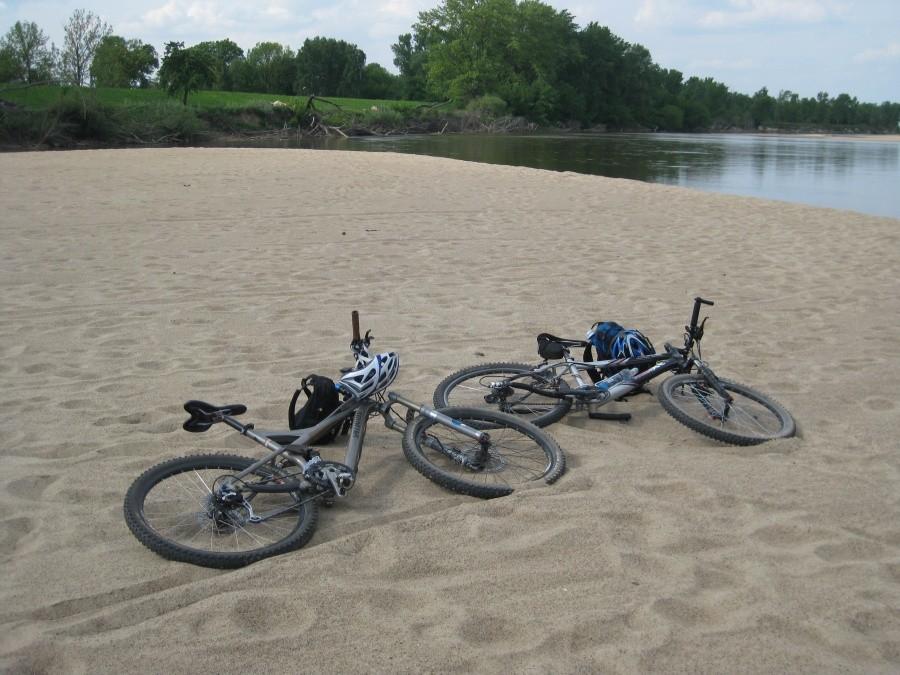 Rumaki na plaży w rezerwacie Łach Brzeskich