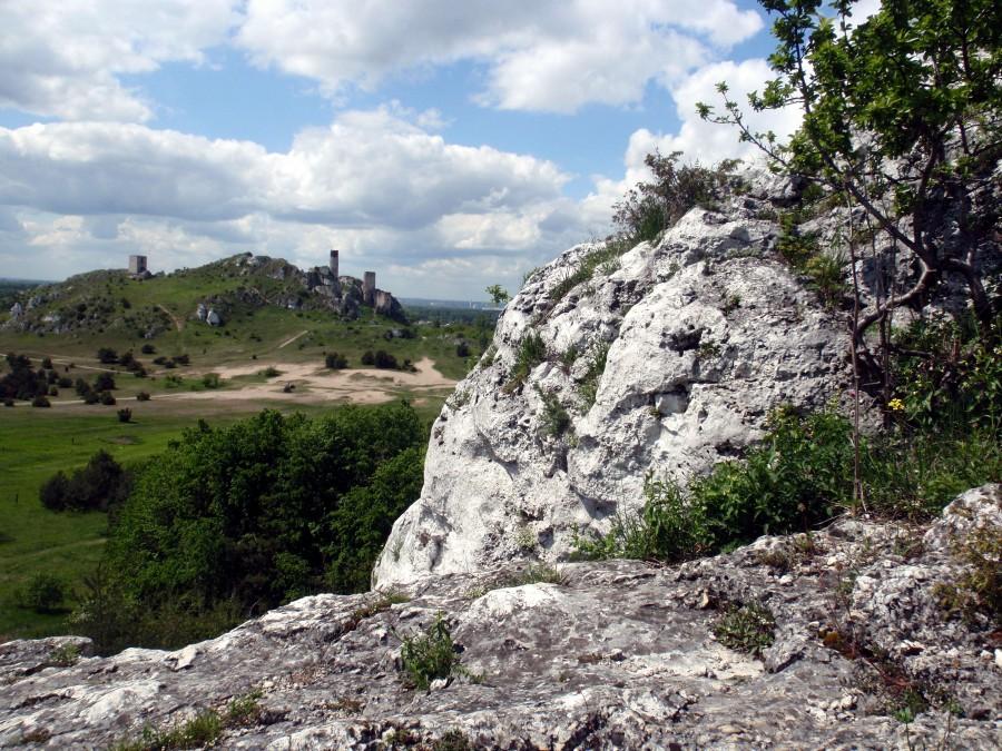 Zamek olsztyński