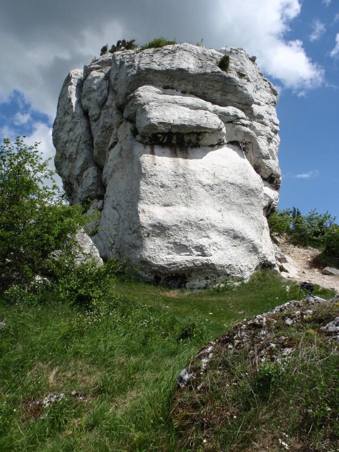 179864.jpg