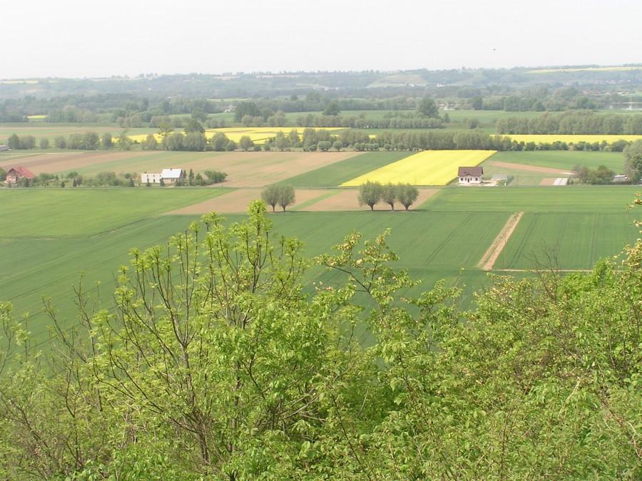 Widok z Góry Św. Wawrzyńca