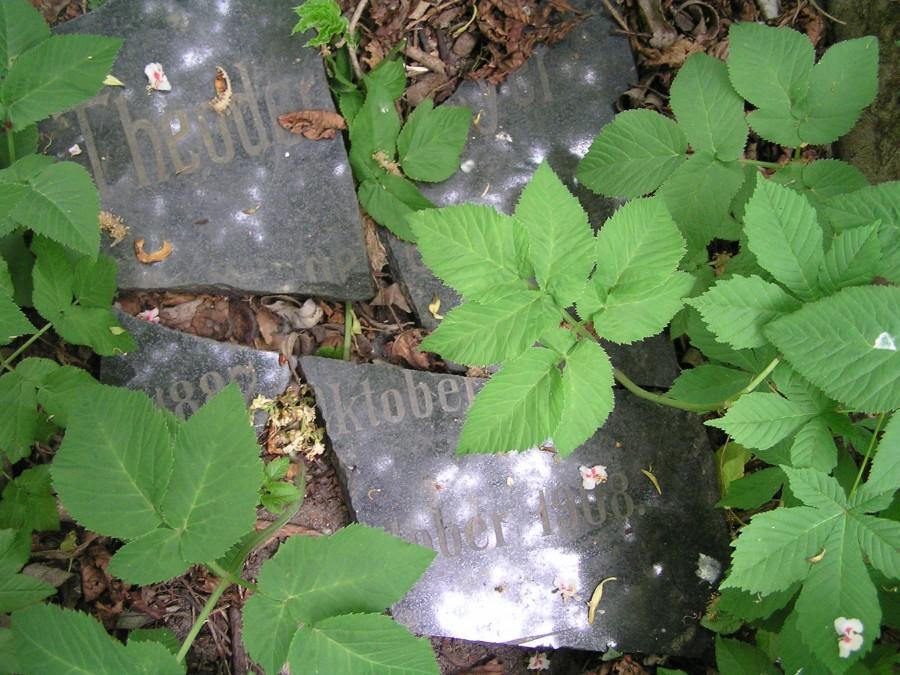 Rozbite tablice nagrobne sprzed ponad stu lat na cmentarzu ewangelickim w Grabowie
