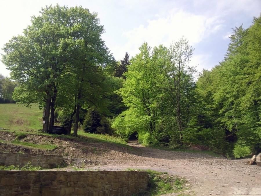 Przy wyciagu