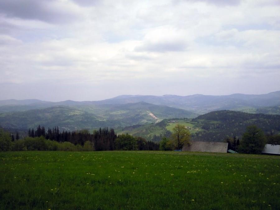 Gdzies kolo soszowa