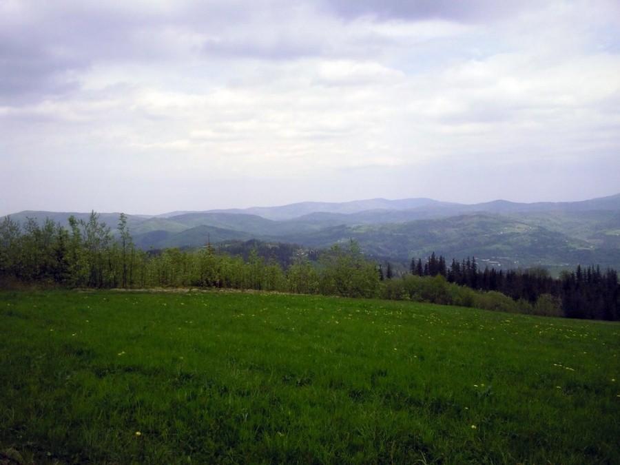 Przed Cieslarem