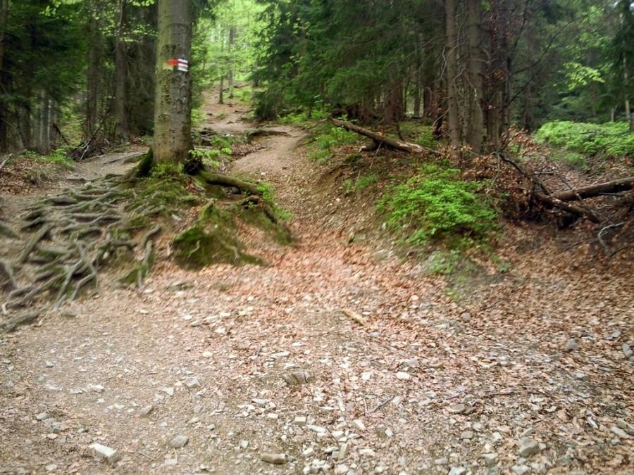 Podjazd na Stożek