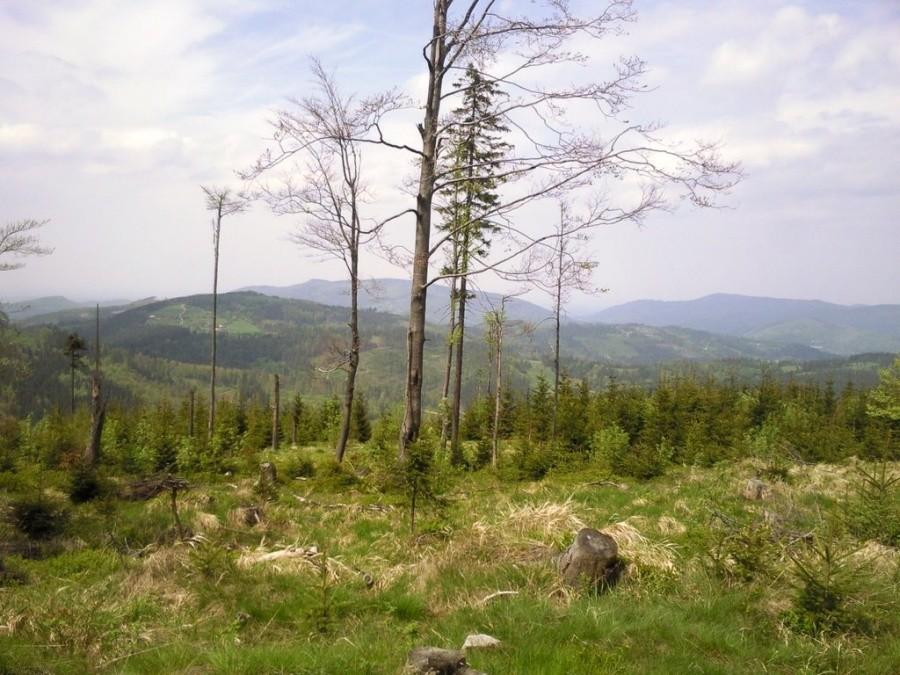 Kiczory - szczyt
