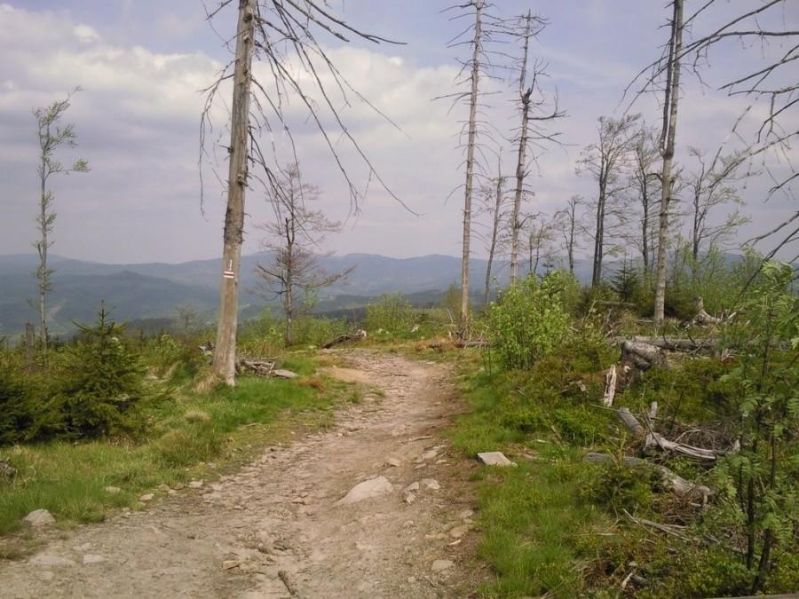 Kiczory - widok na zjazd