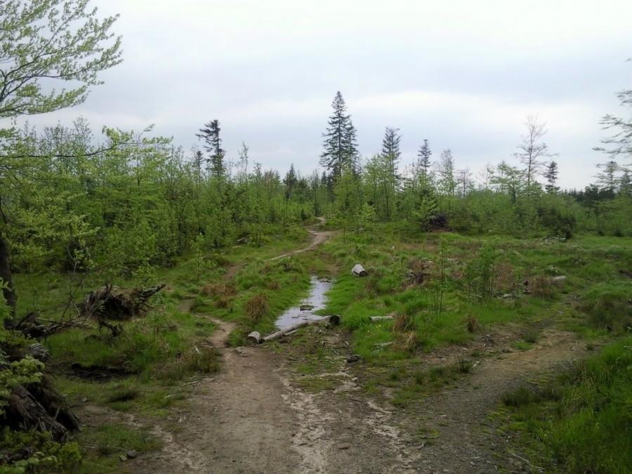 Czerwony Szlak