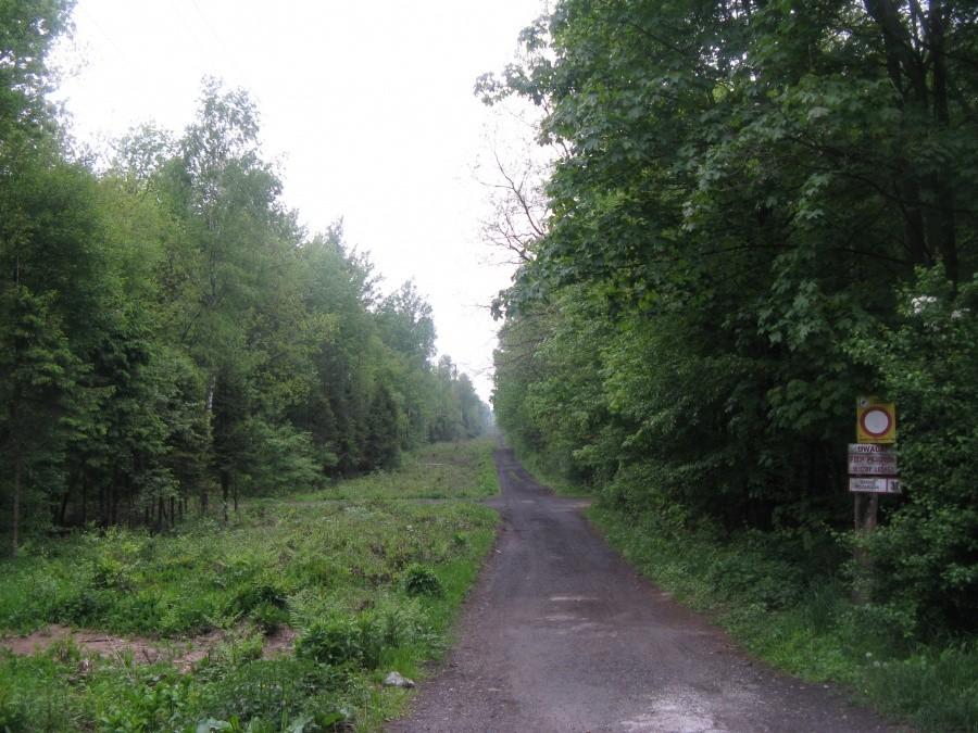 Ścieżka rowerowa