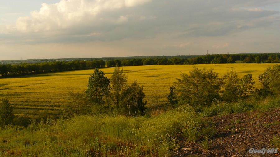 Widok z hałdy :)